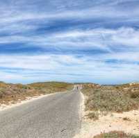 西澳 羅特尼斯島 Rottnest Island