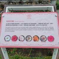 彷彿身在國外-台北玫瑰園