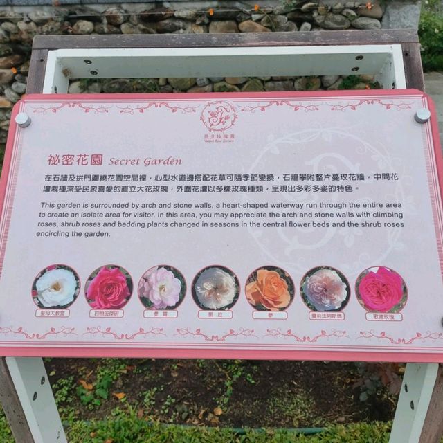 彷彿身在國外-台北玫瑰園