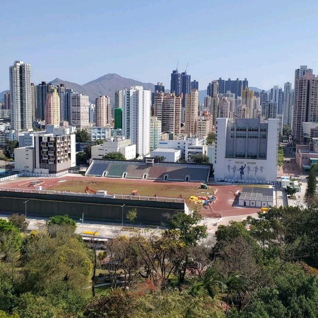 新年好去處之步步高陞。元朗公園百鳥塔