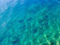 【秋田県・仙北市】煌めく濃淡の田沢湖✨