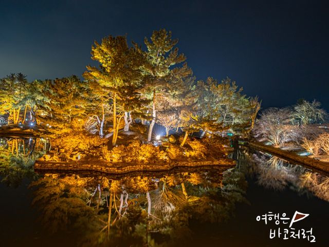 경주 야경 명소 동궁과 월지에서 멋진반영 모습! 경주 야경 명소 동궁과 월지에서 멋진반영 모습!