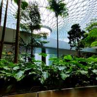 Jewel Changi Airport Attractions