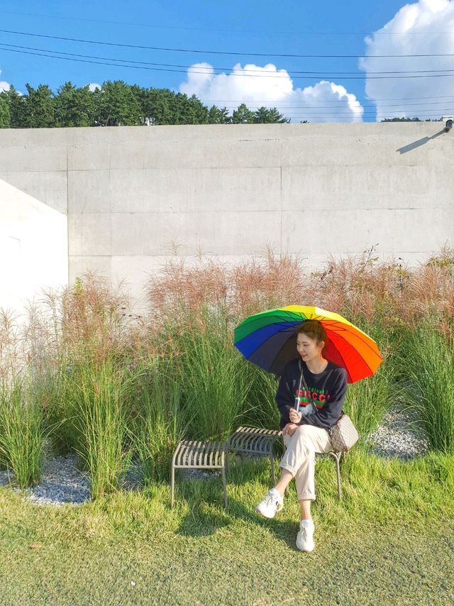 서해바다는 낮에도 일몰타임에도 넘나 예뻐🧡