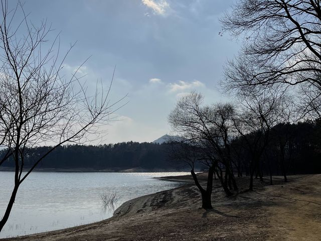 (대전 청주)아름다운 호수 산책길, 대청호💙