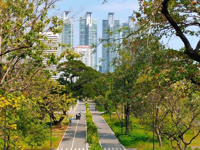 สวนป่าเบญจกิติ