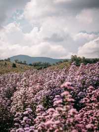 Floryday   