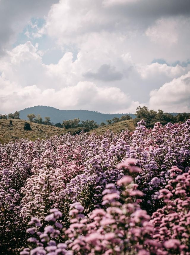 Floryday   