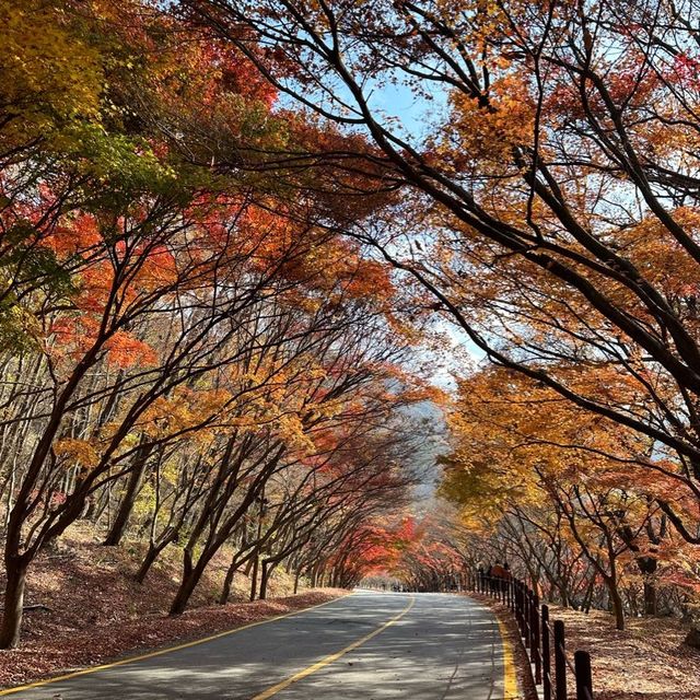 The most beautiful autumn place in korea . 