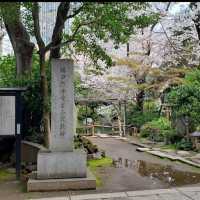 Hilltop Shrine in Tokyo- Atago Jinja Shrine