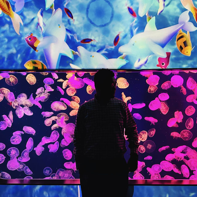 隱藏在水族館裏的西餐廳 🐠 