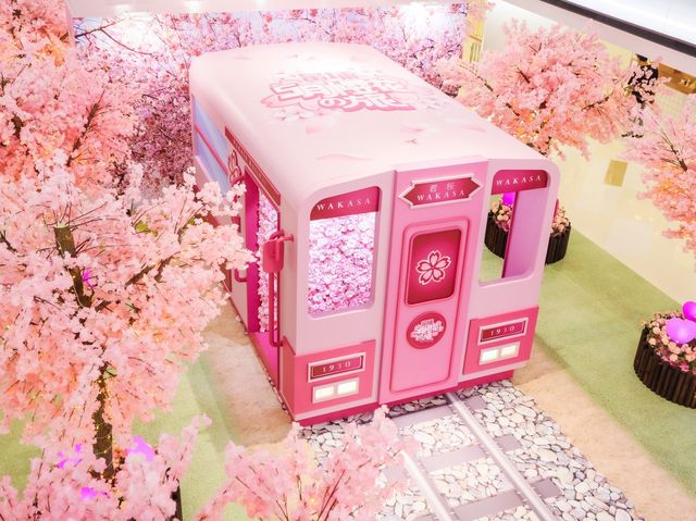 【5月限定】香港賞櫻🌸鐵道🚊之旅