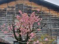 Narai-Juku | Nagano Japan🇯🇵