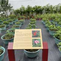 Luís de Camões Plant Nursery