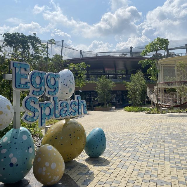 🦜Bird Paradise this holiday! 