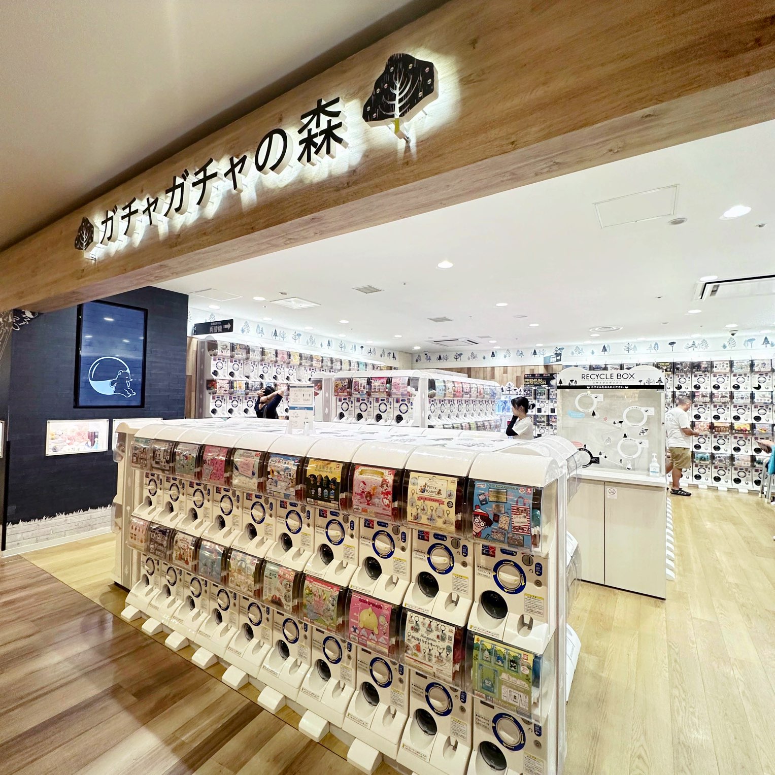 Yokosuka Travel Guide 2024 Things to Do, What To Eat & Tips