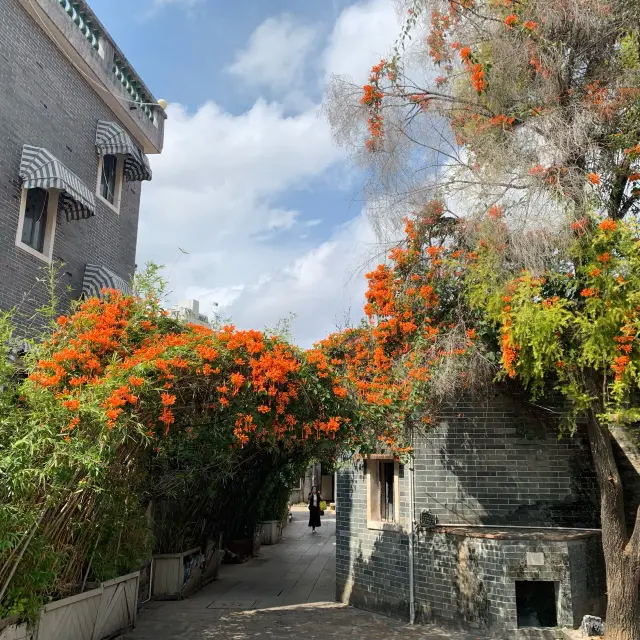 深圳景點✨寶安區穿越到鳳凰古村