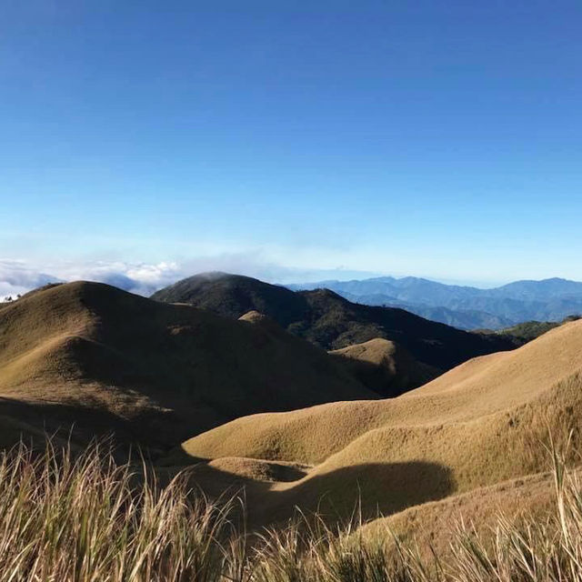 SEA OF CLOUDS, MT.PULAG⛰️
