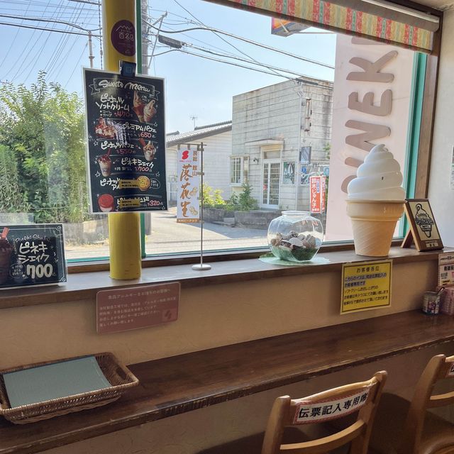 【千葉】館山に行ったら食べたい絶品ソフトクリーム