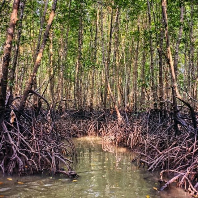 นั่งเรือ ชมธรรมชาติ ที่...