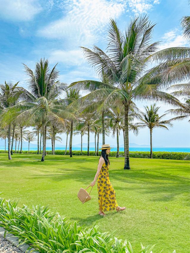 야자수 너머 푸른 바다 그림같은 풍경🏝️