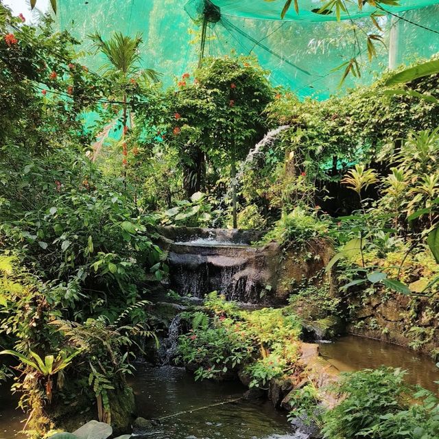 Kuala Lumpur Butterfly Park