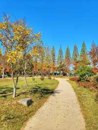 변함없이 아름다운 경주의 가을🍁🍂