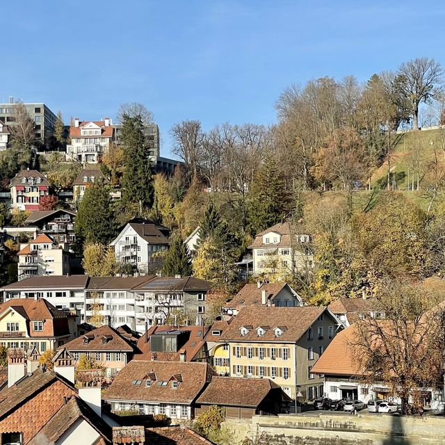 Berne's Nydegg: Bridge to Beauty