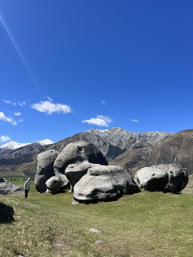 紐西蘭南島基督城近郊探險!Castle Hill