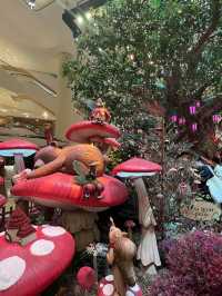 香港🇭🇰聖誕節🎄人氣打卡景5大推介👍🏻走訪港九新界😬