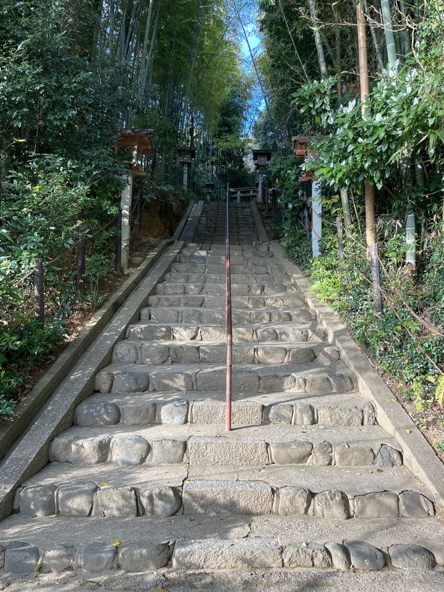 【奈良県/久延彦神社】2023年行ってよかった！奈良県の神社③