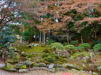 滋賀古竹林院：歴史と静寂の調和 🎋🏯
