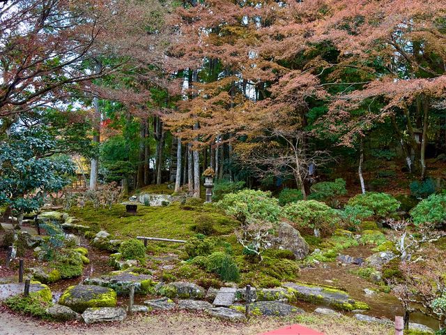 滋賀古竹林院：歴史と静寂の調和 🎋🏯