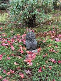 《不能錯過的圓光寺》