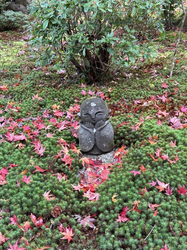《不能錯過的圓光寺》