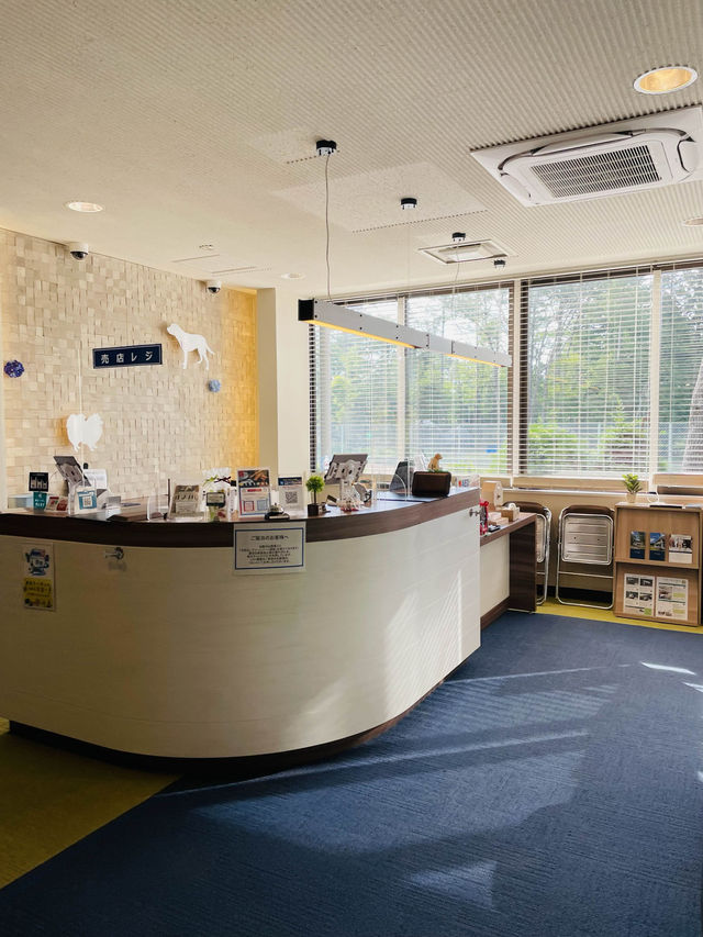 【山梨県】2023年泊まって良かった「Wan'sResort山中湖」