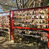 多摩川が一望できる絶景 - 多摩川浅間神社 -