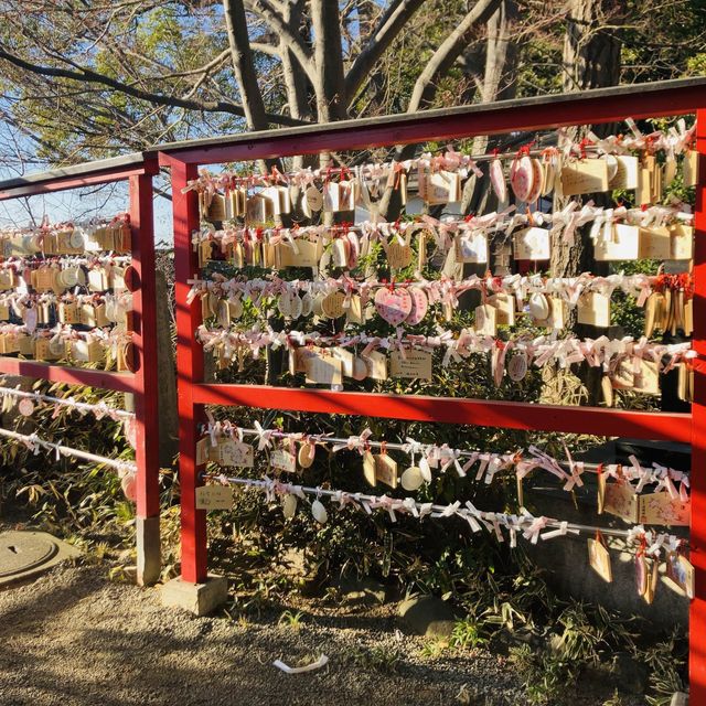 多摩川が一望できる絶景 - 多摩川浅間神社 -