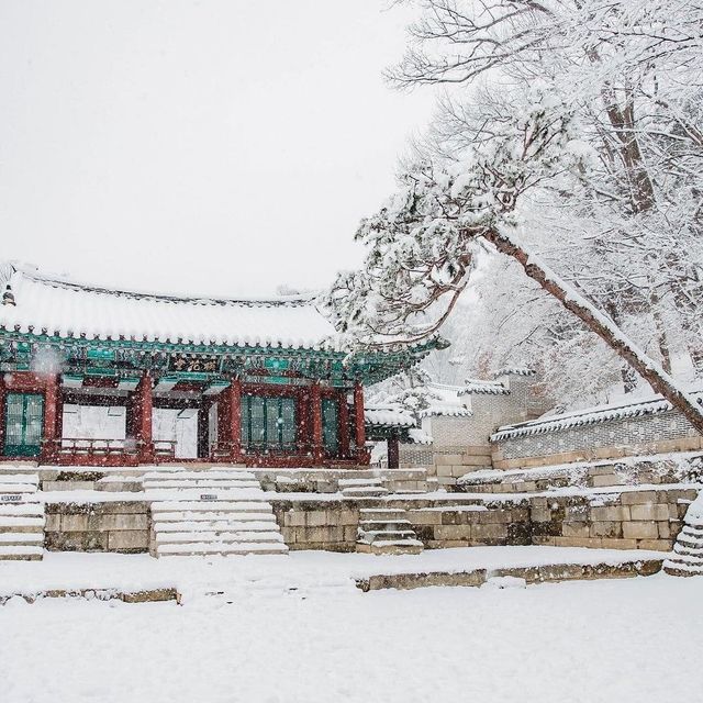 The Beauty of Changdeokgung palace in winter 