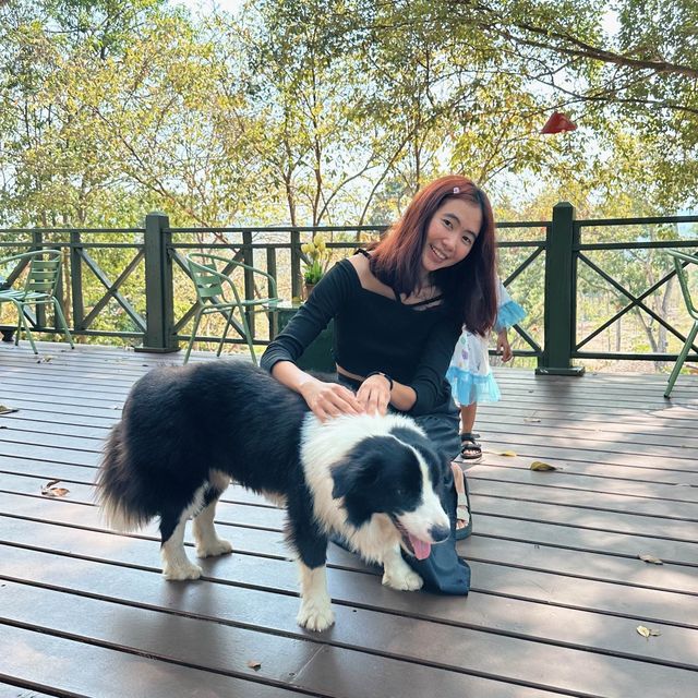 #กำเงินคนละ600  #ที่พักระยอง #วิวเขาธรรมชาติ  