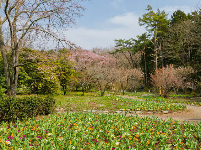 A beautiful park in Gotemba