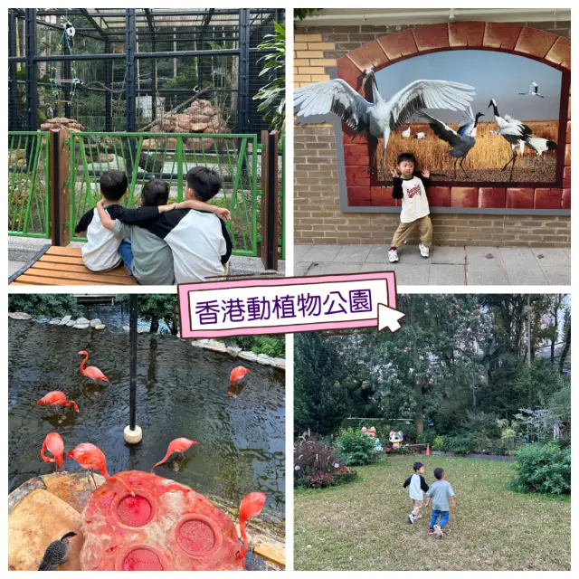 【 近距離觀賞哺乳類動物 】  】 