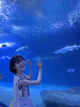Europe's largest aquarium
