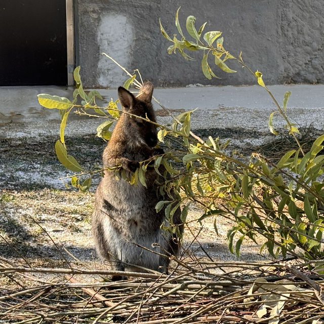 親子之選～東山動植物園 