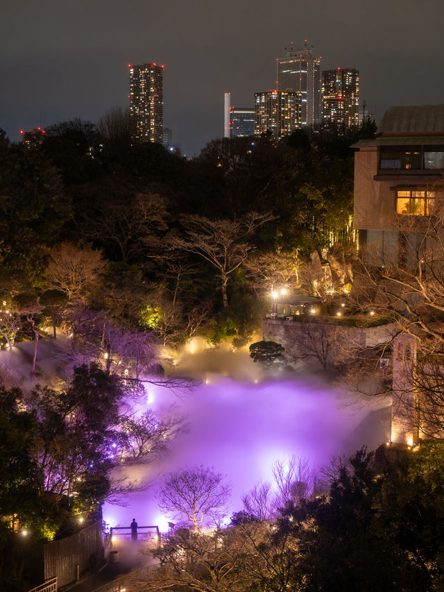 【春色に染められた雲海！☁️】椿山荘の桜雲海が幻想的すぎる🌸✨