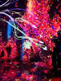 【麻布台】魔法のアート空間💫麻布台ヒルズに誕生したteamLab Borderlessで夢の世界へ