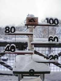 【大雪山國立公園必去的景點】