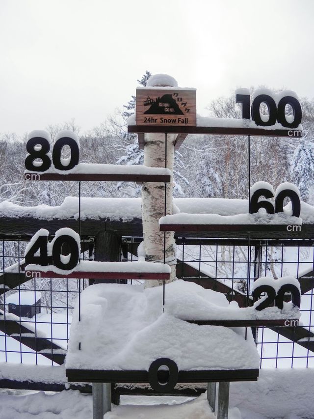 【大雪山國立公園必去的景點】