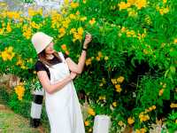 ผาชู้ อุทยานแห่งชาติศรีน่าน