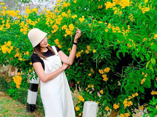 ผาชู้ อุทยานแห่งชาติศรีน่าน